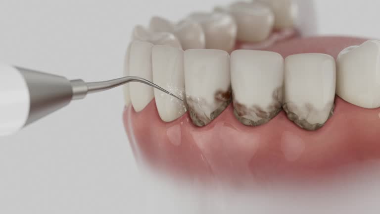 Reliable Dental contractor in Morton, TX by Dentist Open Now